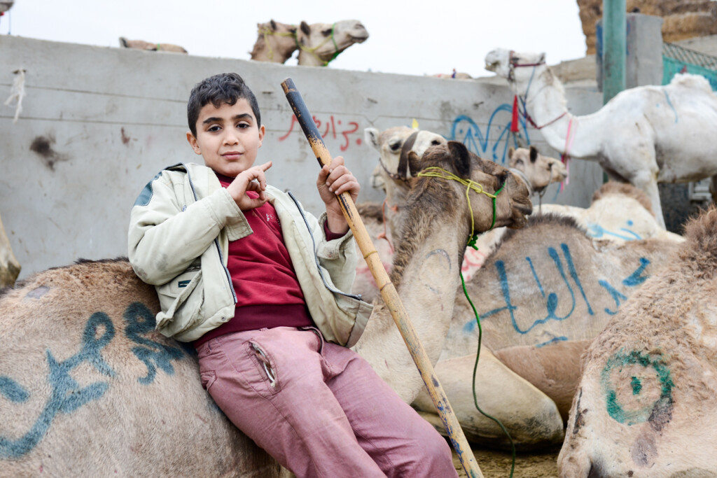 Egipt  Jerzy Bednarski Photo Camel Trip Reporter